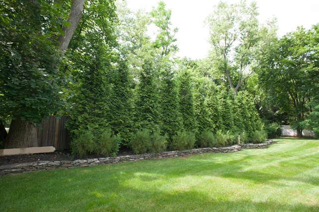 Foundation Plantings Photo 7 [SAGE ID: DC_095]