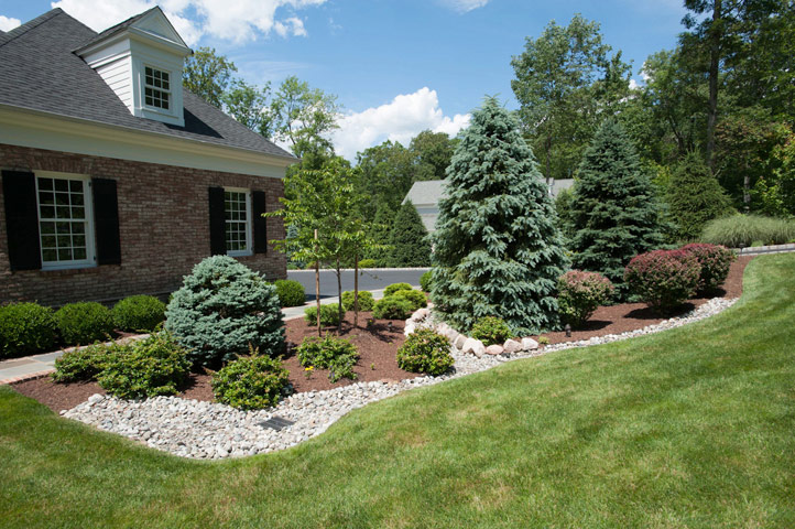 Shrub and Tree Plantings
