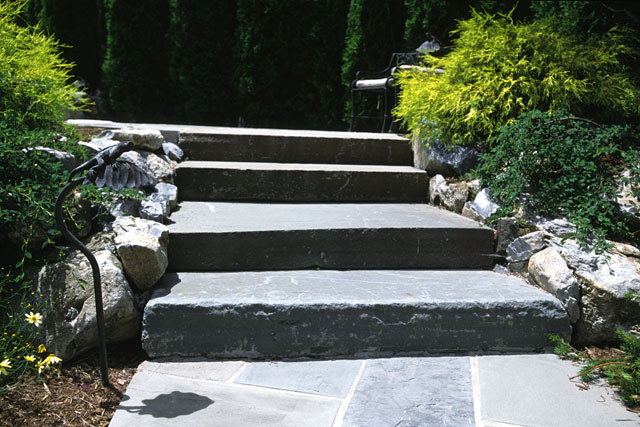 Steps Photo 12