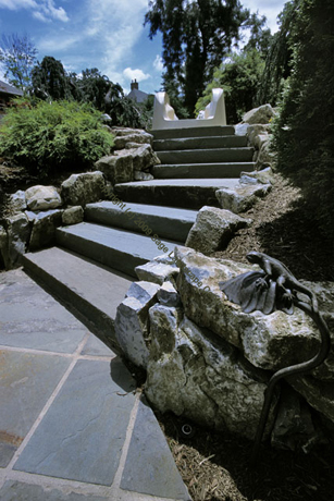 STEPS2