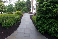 Click link below for Walks by Sage